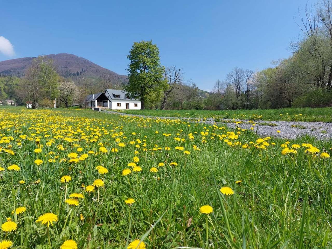 Nebesky 81 Villa Kunčice pod Ondřejníkem Eksteriør bilde